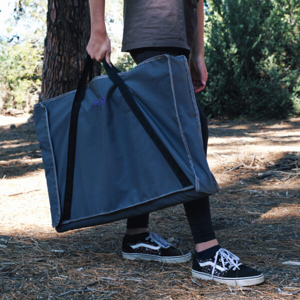 carry bag for a telescopic ladder
